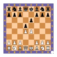 Chess Positions Binder